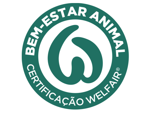 EXPLORAÇÕES MATINADOS WELFAIR
