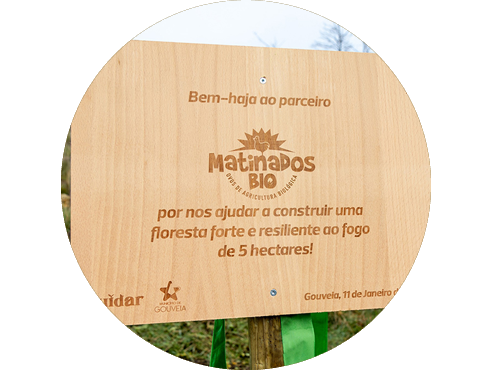 Serra Cuidar Matinados